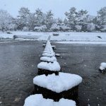 美しい京都賀茂川！白銀の世界！京都の大雪は5年ぶり⁈