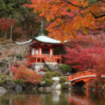 小林正観さん師範代の高島亮さん&シャスタ美穂さんの京さんぽ~紅葉編~「京都紅葉!愛でる会食&紅葉さんぽ+夜の巡礼」