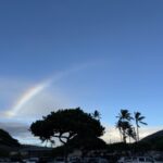 【ハワイに1ヶ月来ませんか】と言われたらあなただったらどうする?