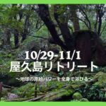【10/29-11/1】屋久島リトリート！地球の原始パワーを全身で浴びる！海・山・谷・森を満喫！奇跡の屋久島リトリート